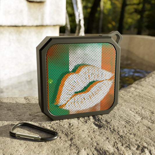 Bluetooth Outdoor Speaker – Irish Lip St. Patrick’s Day Design