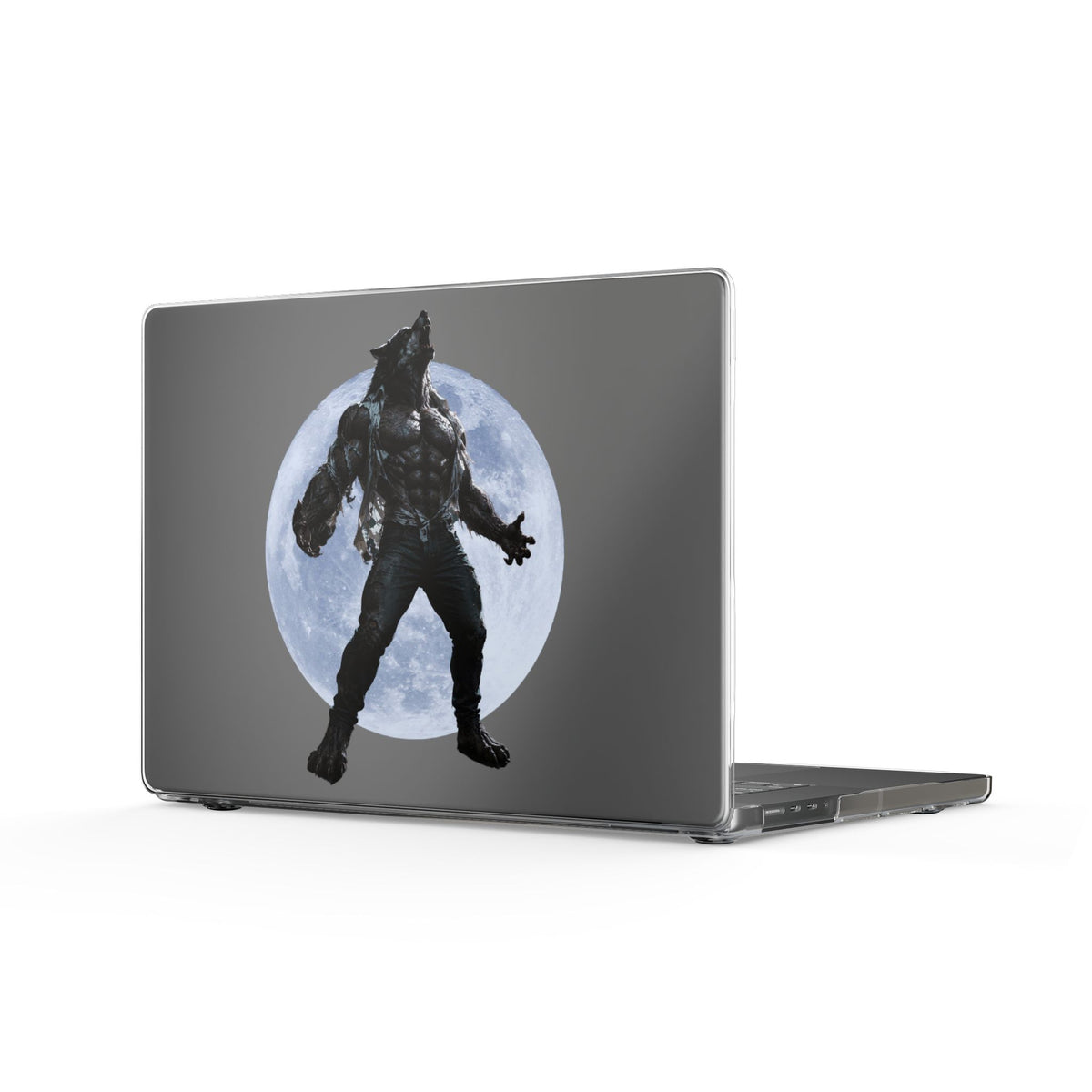 Clear Laptop Case – The Hunt Begins