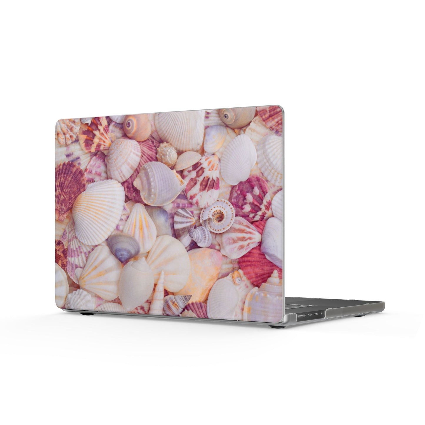 Matte Laptop Case – Shell Scatter
