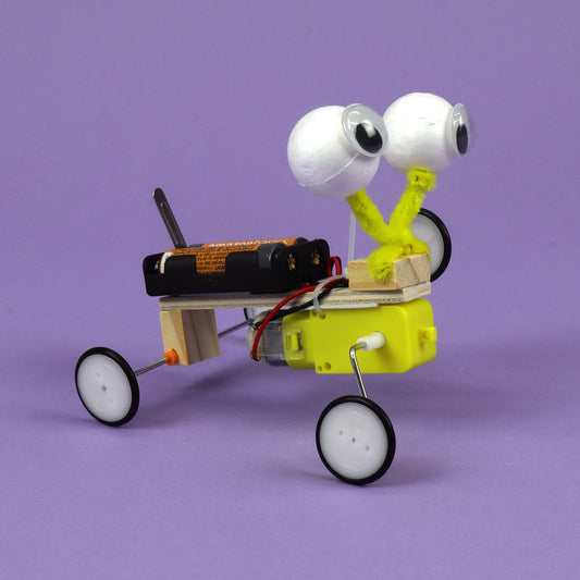 Bug Robot DIY Kit - Educational STEM Learning Toy