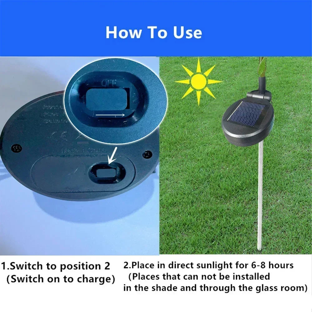Solar Dandelion Garden Lights
