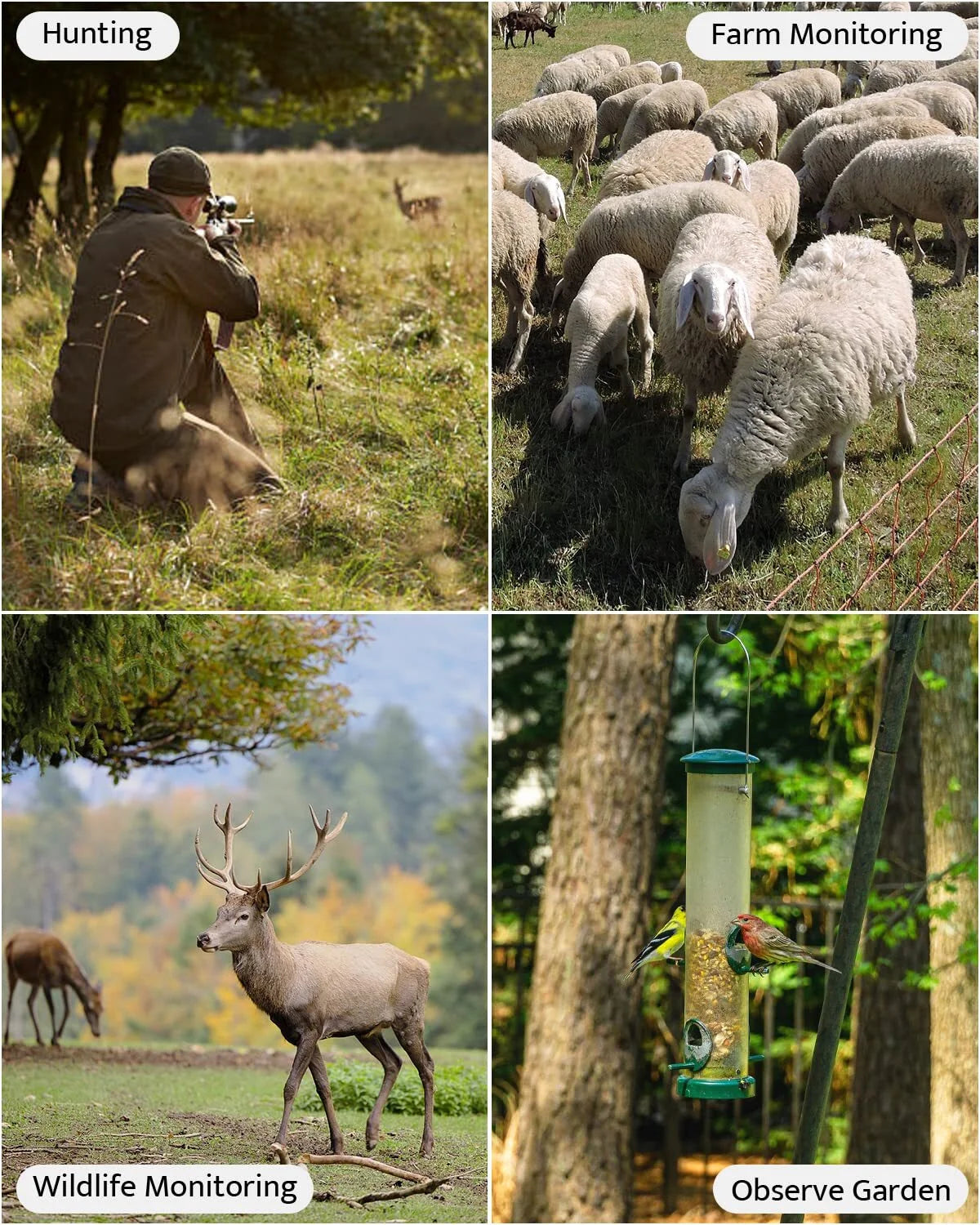 Trail Camera, 48MP 4K Hunting Camera with Night Vision Motion Activated IP66 Waterproof, Deer Camera for Outdoor Wildlife Watching Monitoring