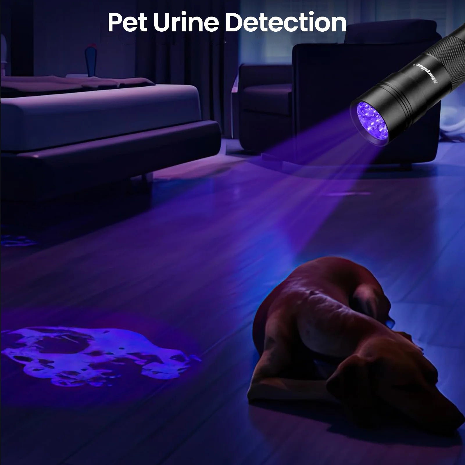 2 Pcs Multifunctional UV Flashlight 12Leds Ultraviolet Blacklight Pet Dog Stain & Urine Detector Light Torch Ultra Violet Flashlight - 3.8*1.2*1.2Inches