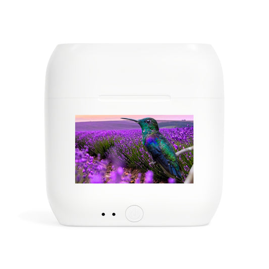 Wireless Earbuds – Hummingbird Reverie