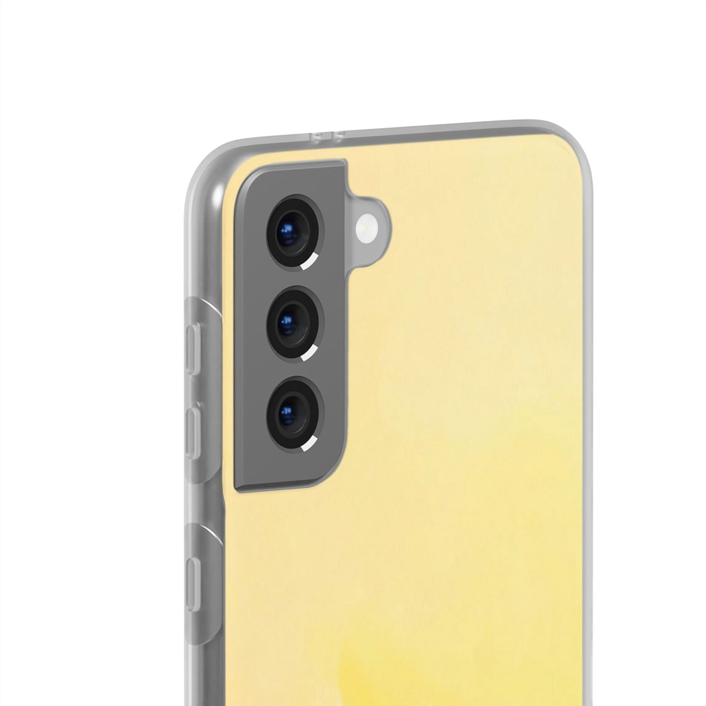 Flexi Case – Sunwash
