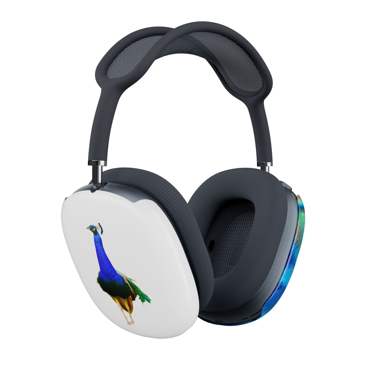 Headphone Ear Cup Covers – Peacock Power