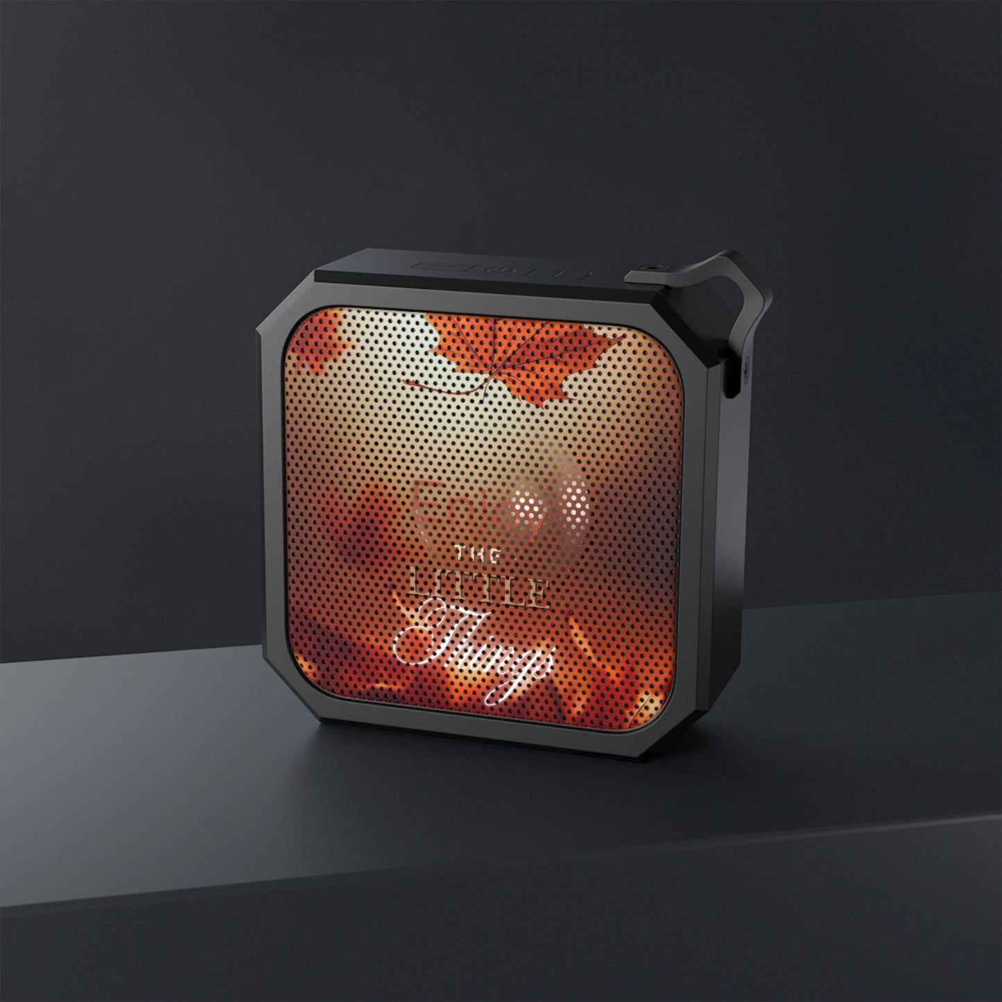 Water-Resistant Bluetooth Speaker – The Little Things