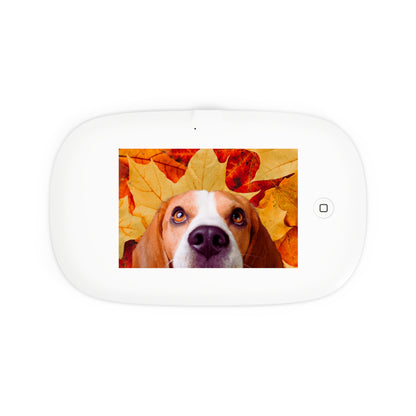 UV Phone Sanitizer with Wireless Charger – Leaf Me Alone