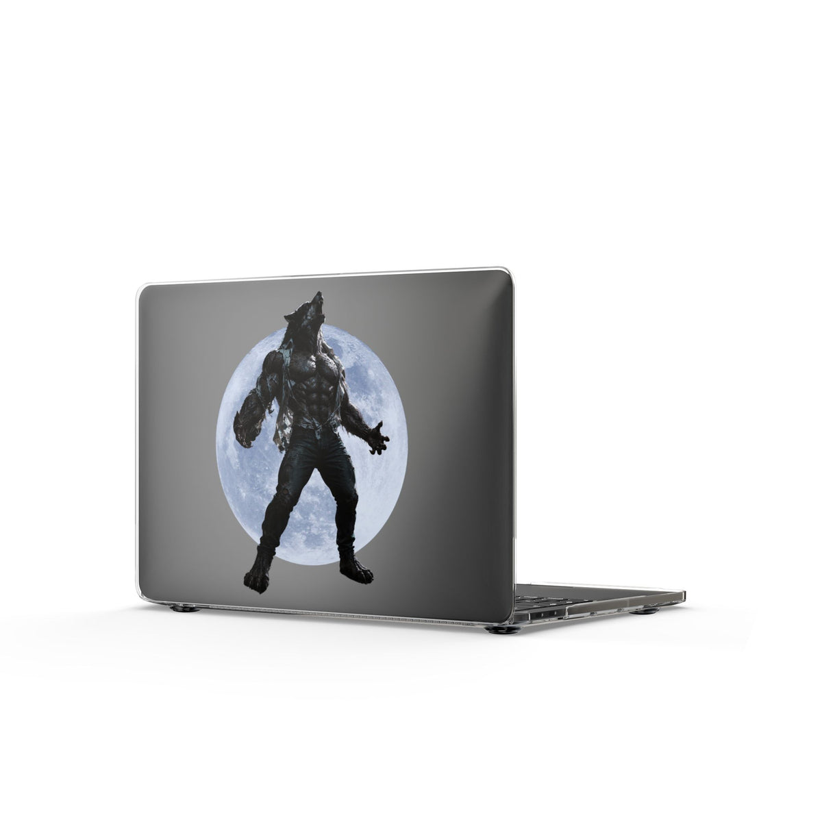 Clear Laptop Case – The Hunt Begins