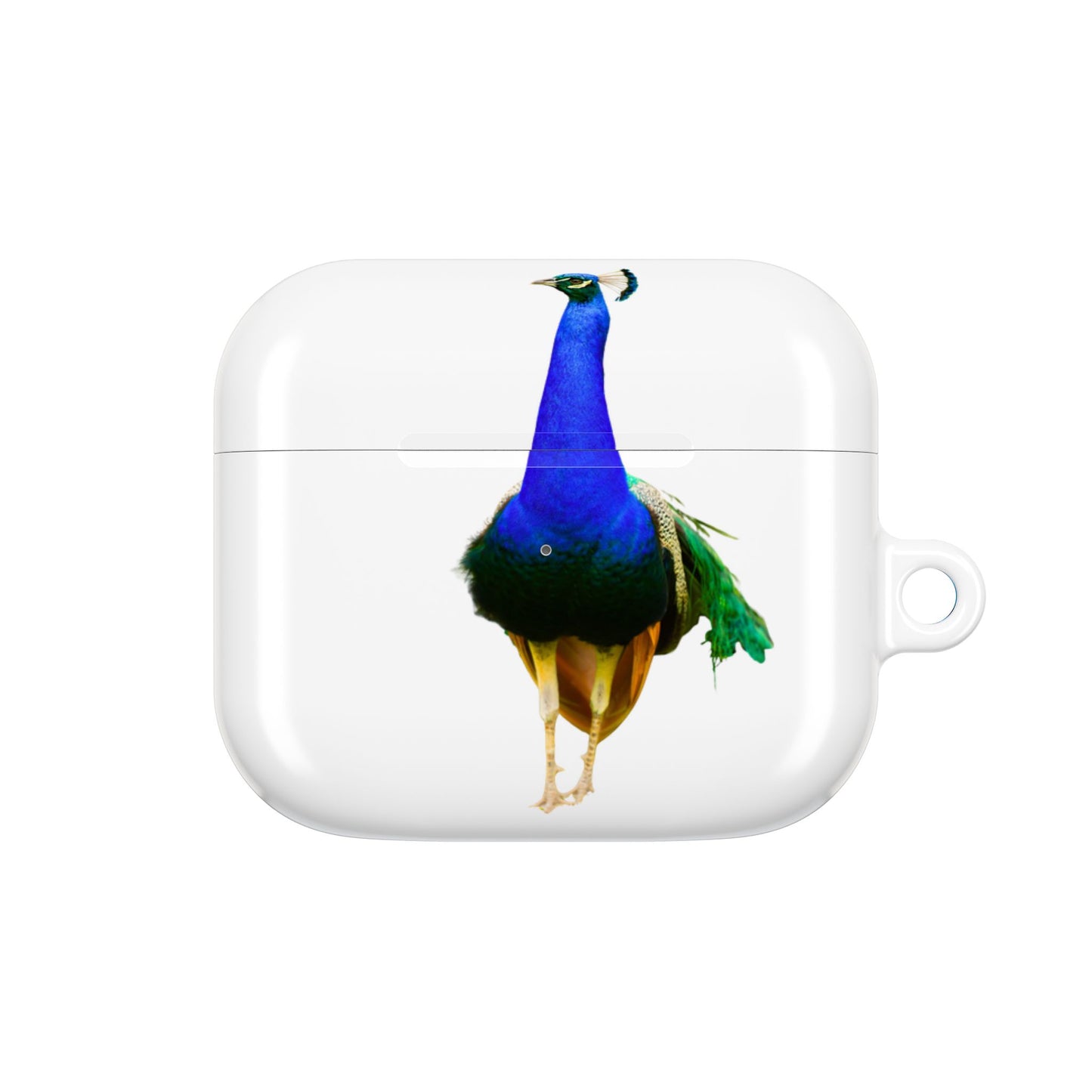 Earbud Case Cover – Peacock Power
