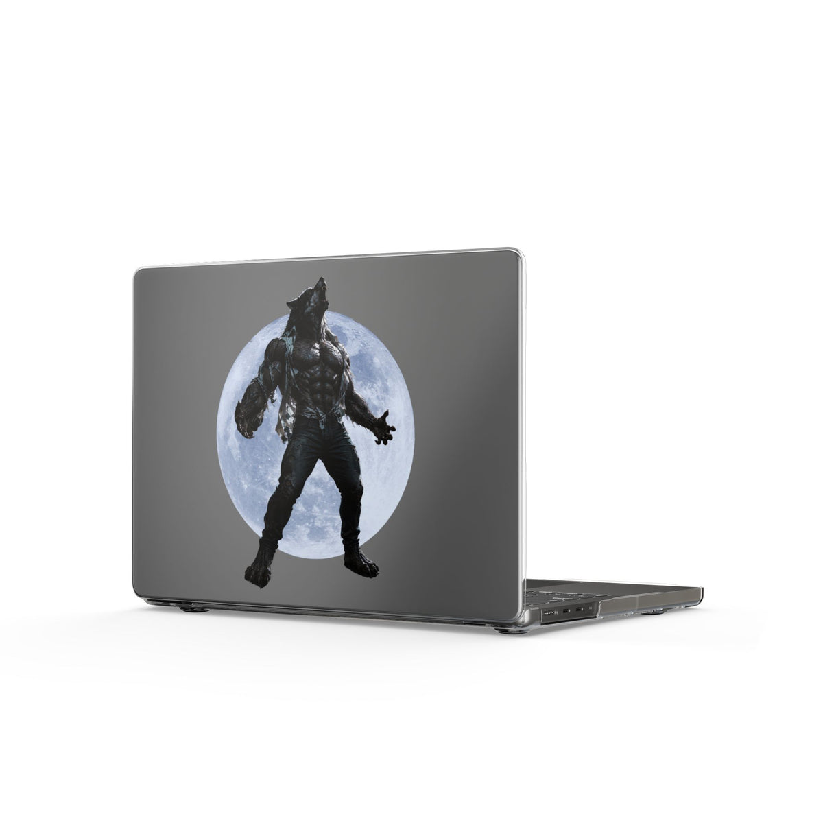 Clear Laptop Case – The Hunt Begins