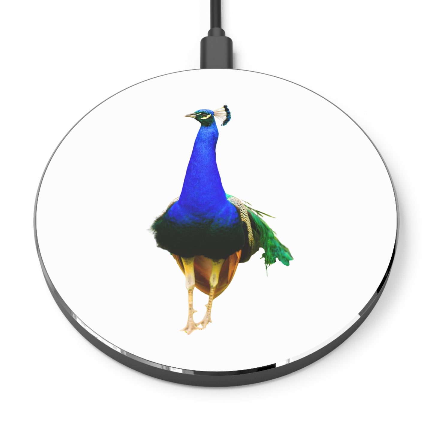 Wireless Charger – Peacock Power