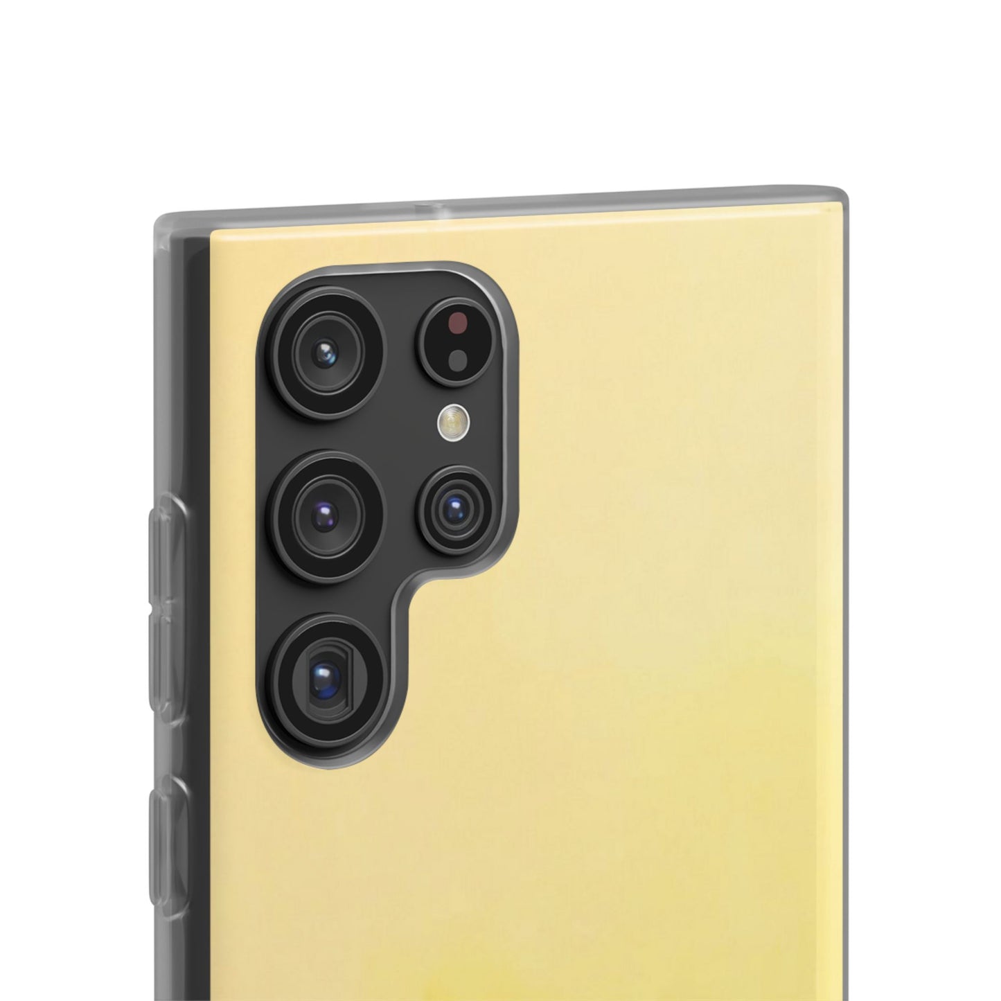 Flexi Case – Sunwash