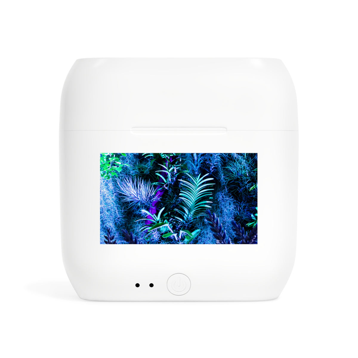 Wireless Earbuds – After Hours Nature