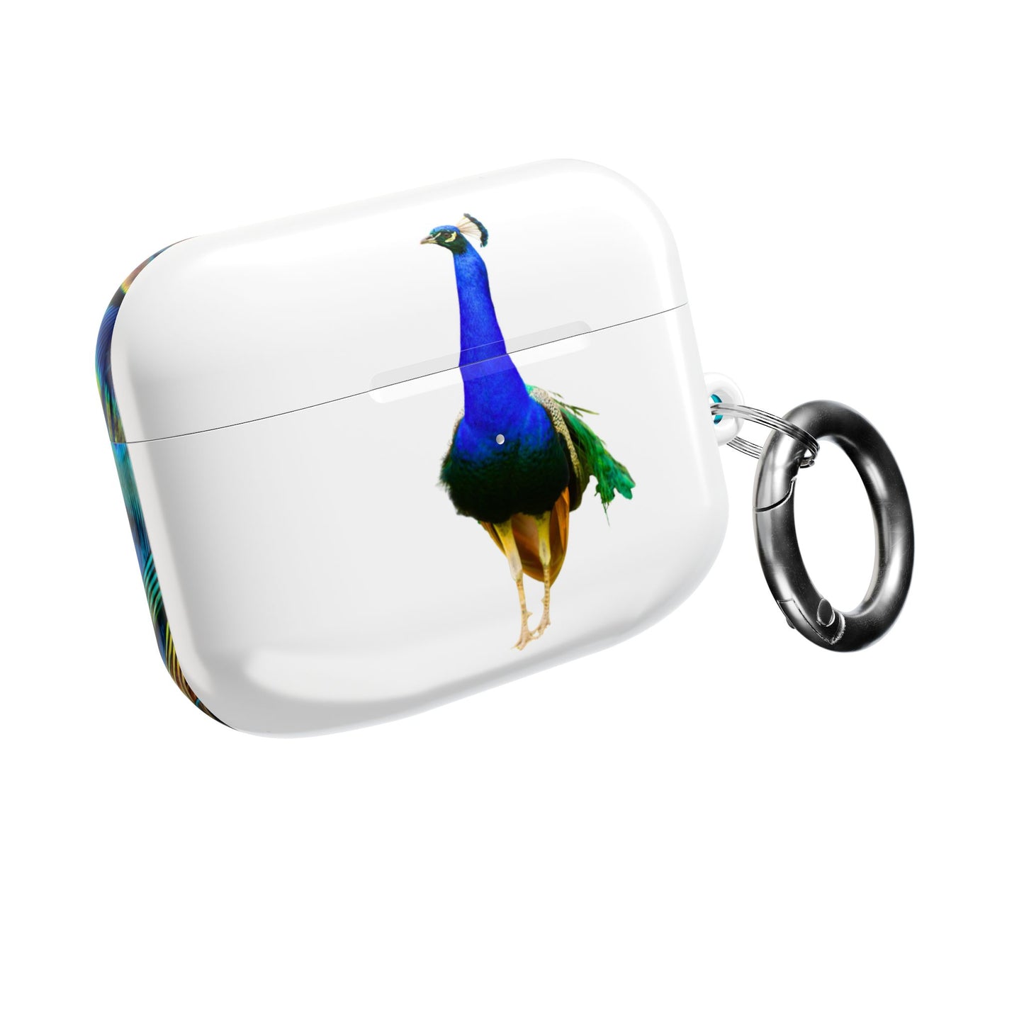 Earbud Case Cover – Peacock Power