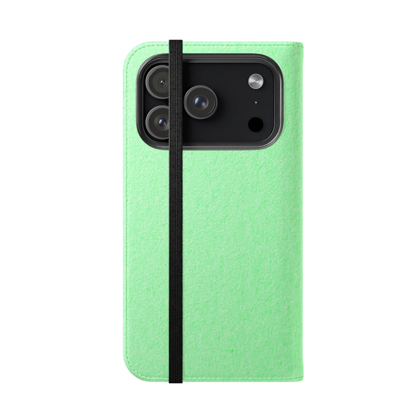 Flip Case – Minted