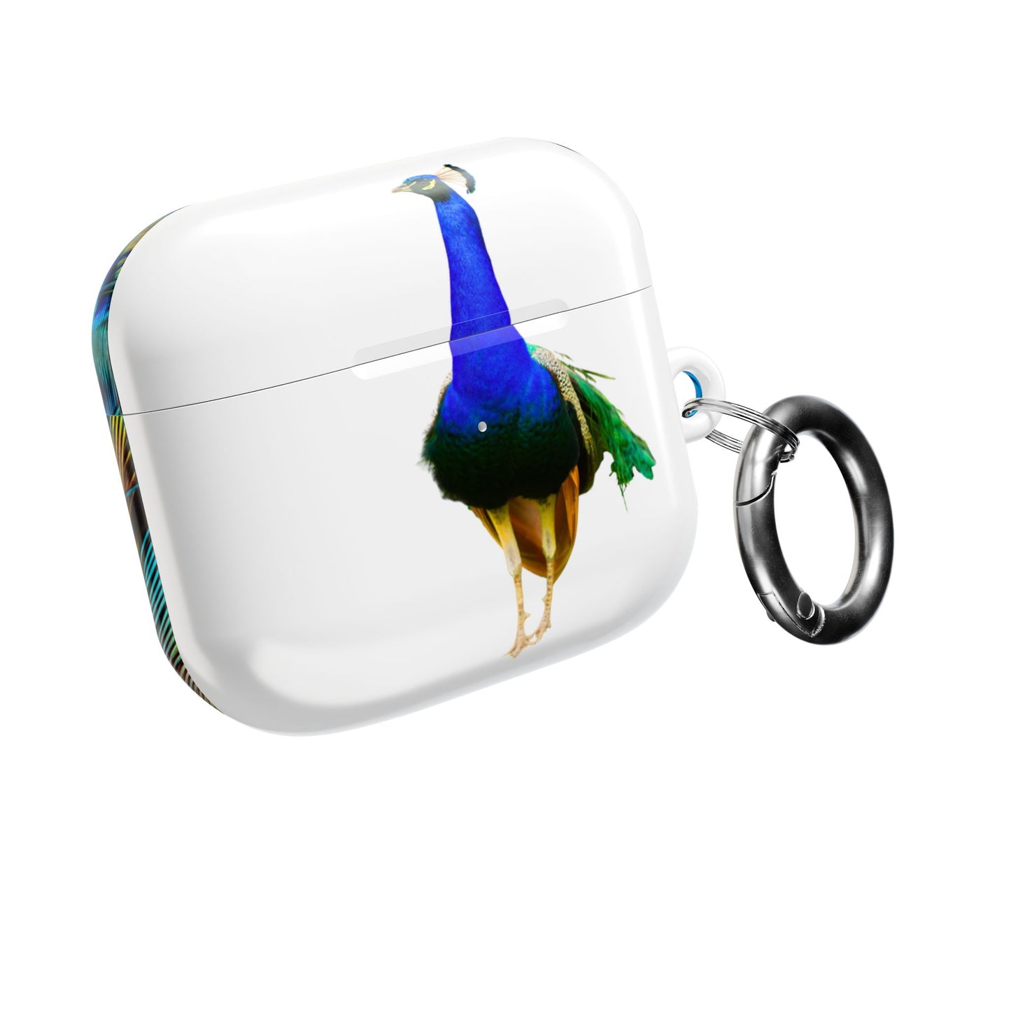 Earbud Case Cover – Peacock Power
