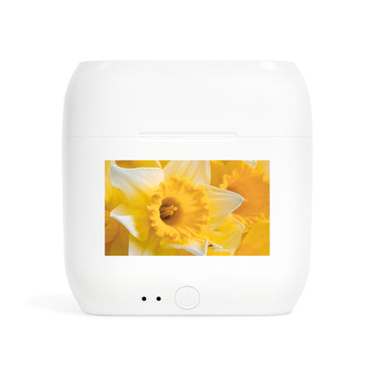 Wireless Earbuds – Daffodil Daylight