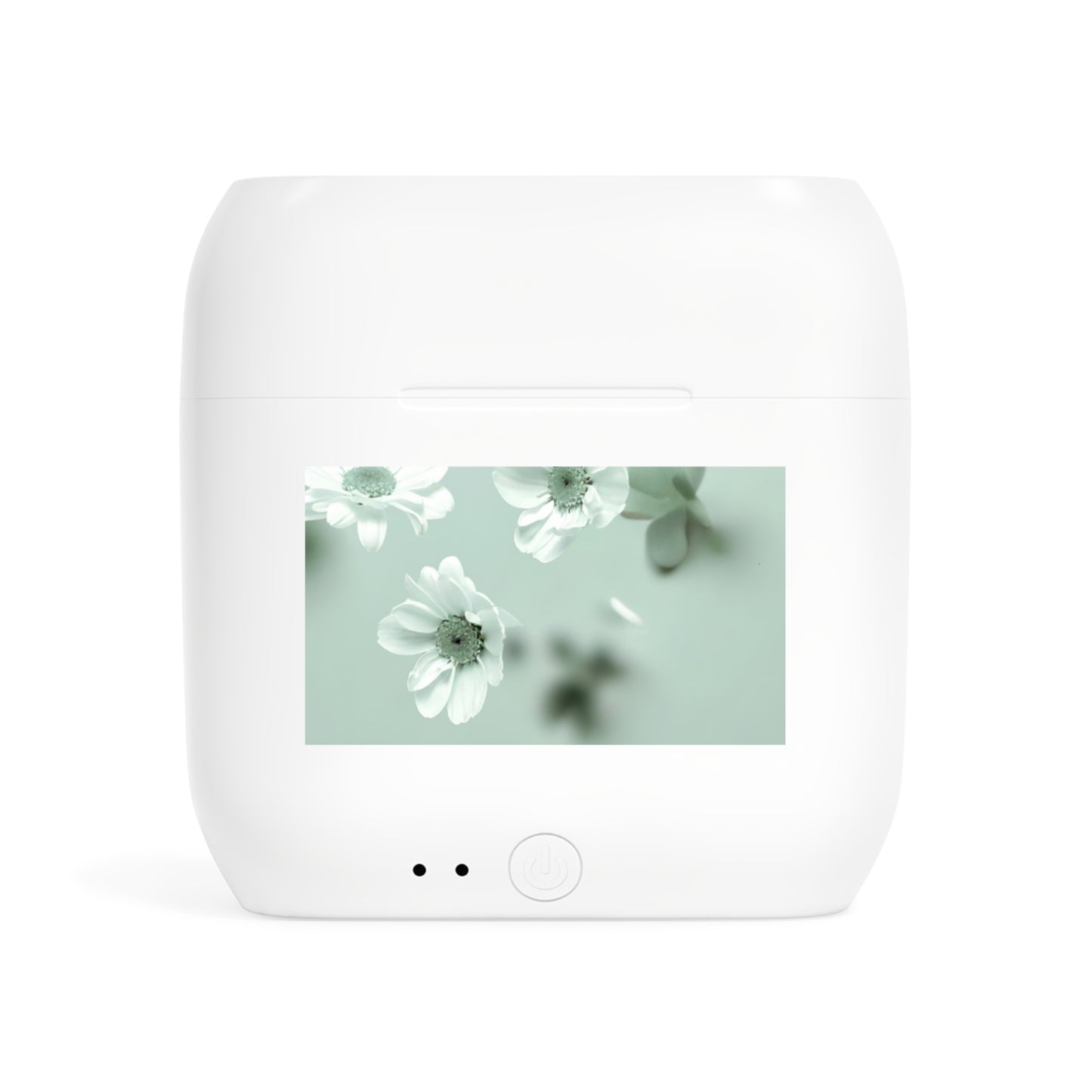Wireless Earbuds – Daisy Serenity
