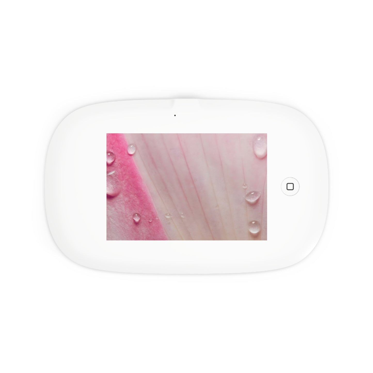 UV Phone Sanitizer with Wireless Charger – Morning Dew