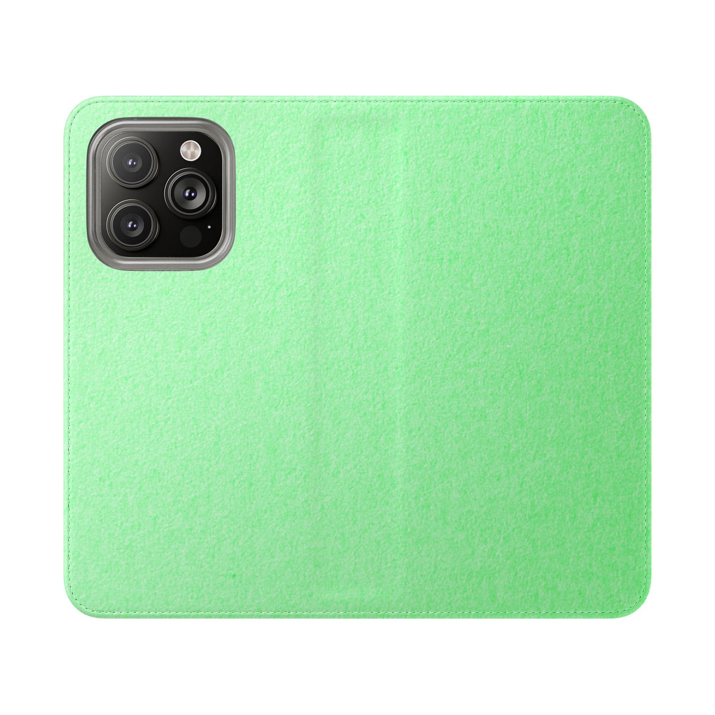 Flip Case – Minted