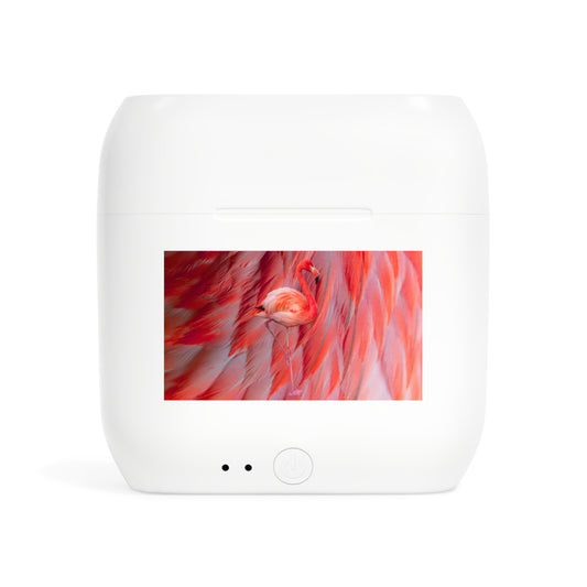 Wireless Earbuds – Scarlet Plume