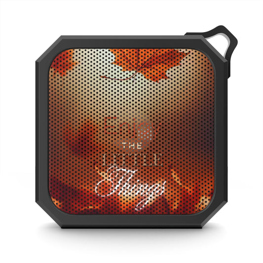 Water-Resistant Bluetooth Speaker – The Little Things