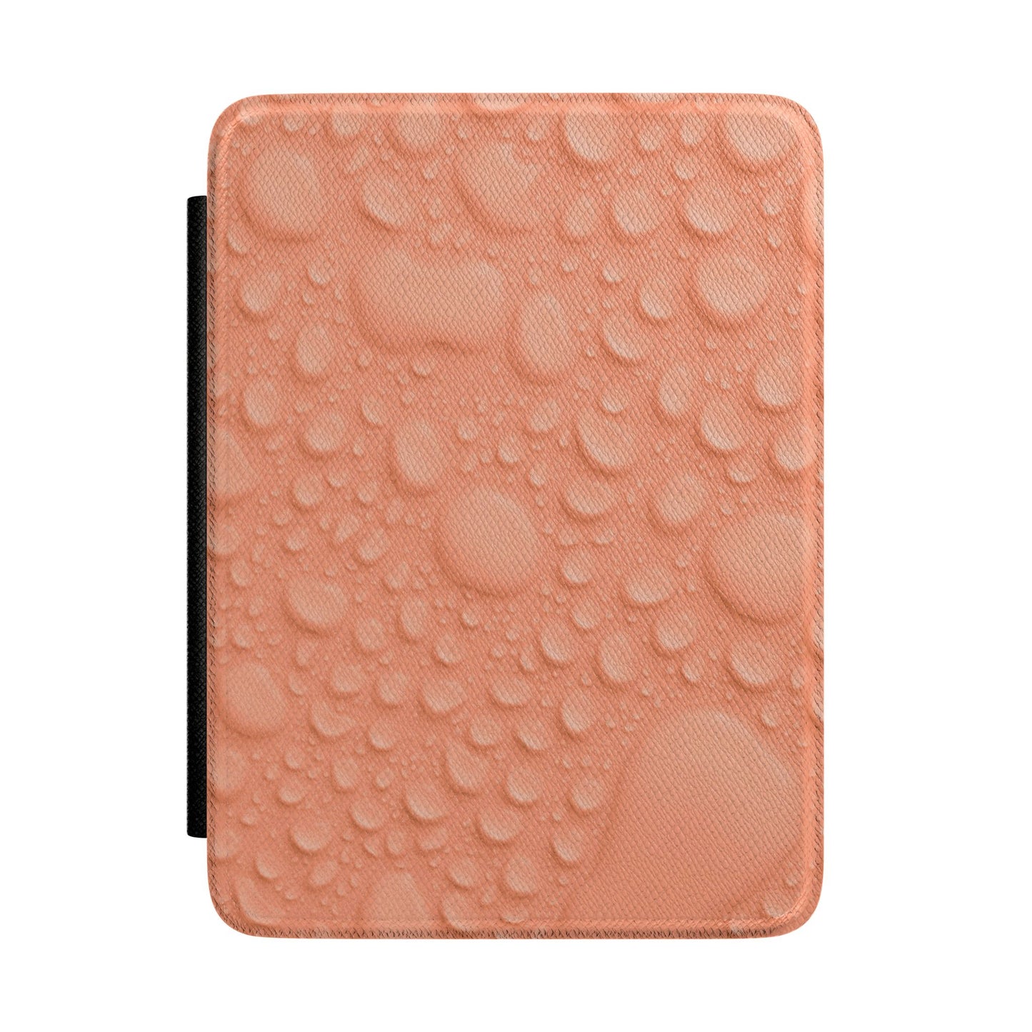 E-Reader Case – Apricot Rain