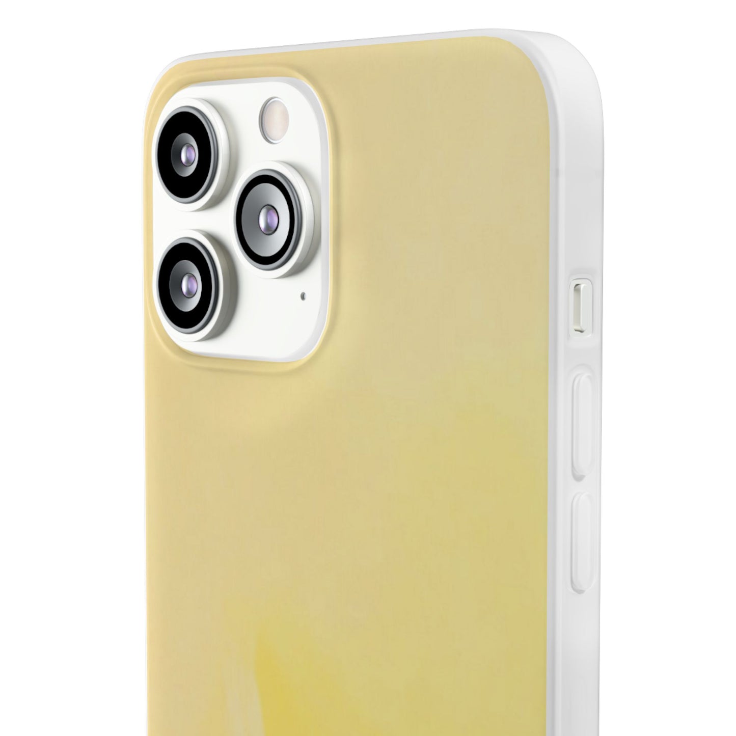Flexi Case – Sunwash