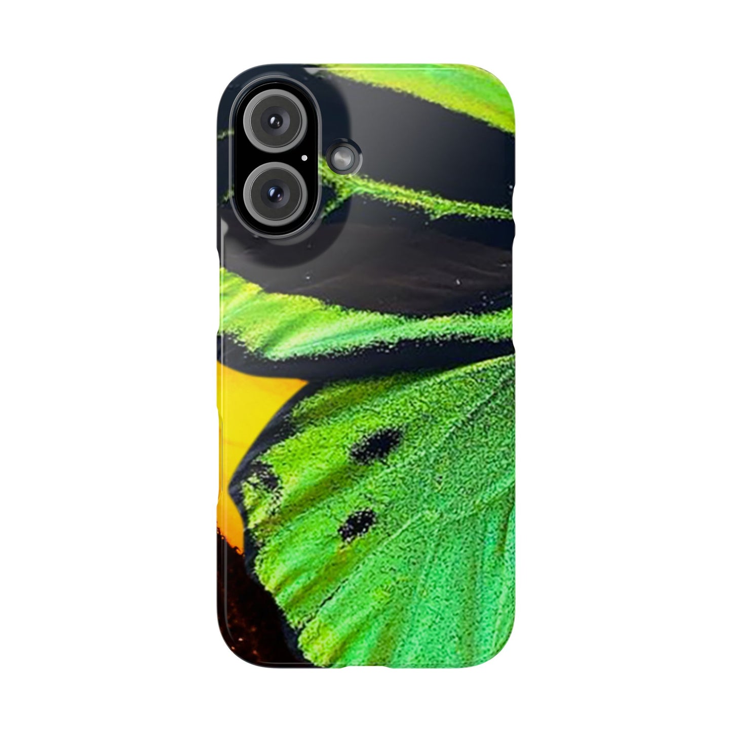 Snap Phone Case – Lashed Wing