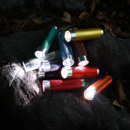 LED Flashlights 10-Pack 50 Lumens Multicolor Compact Set for Camping
