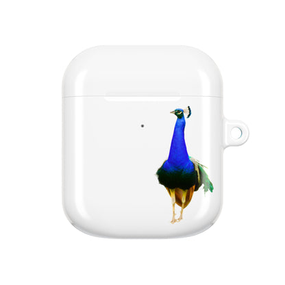 Earbud Case Cover – Peacock Power