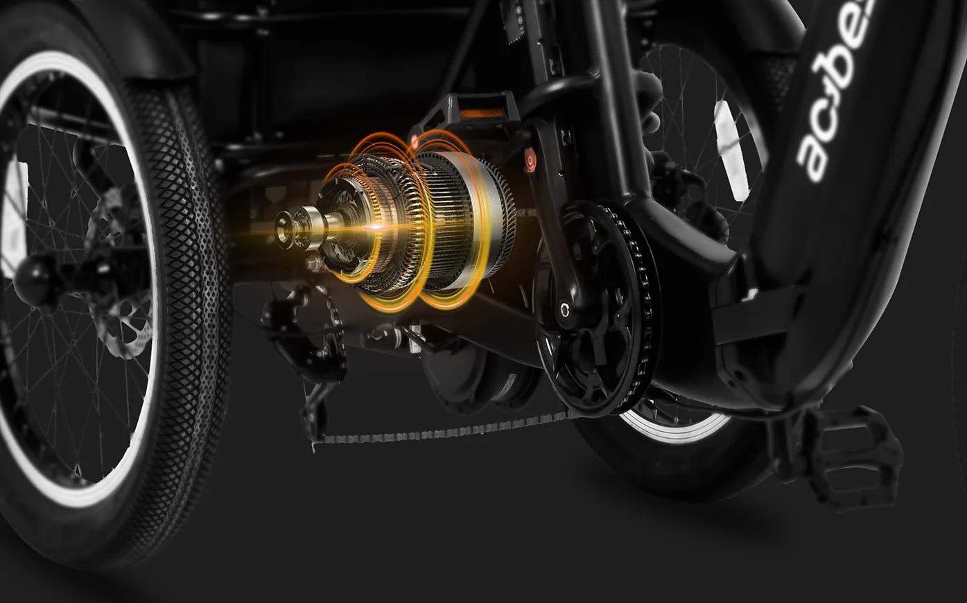 Triker Folding 3 Wheels Electric Bike