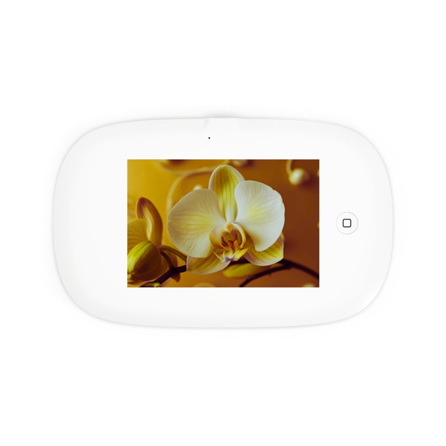UV Phone Sanitizer with Wireless Charger – Amber Orchid
