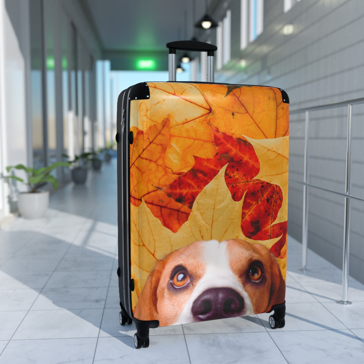 Suitcase