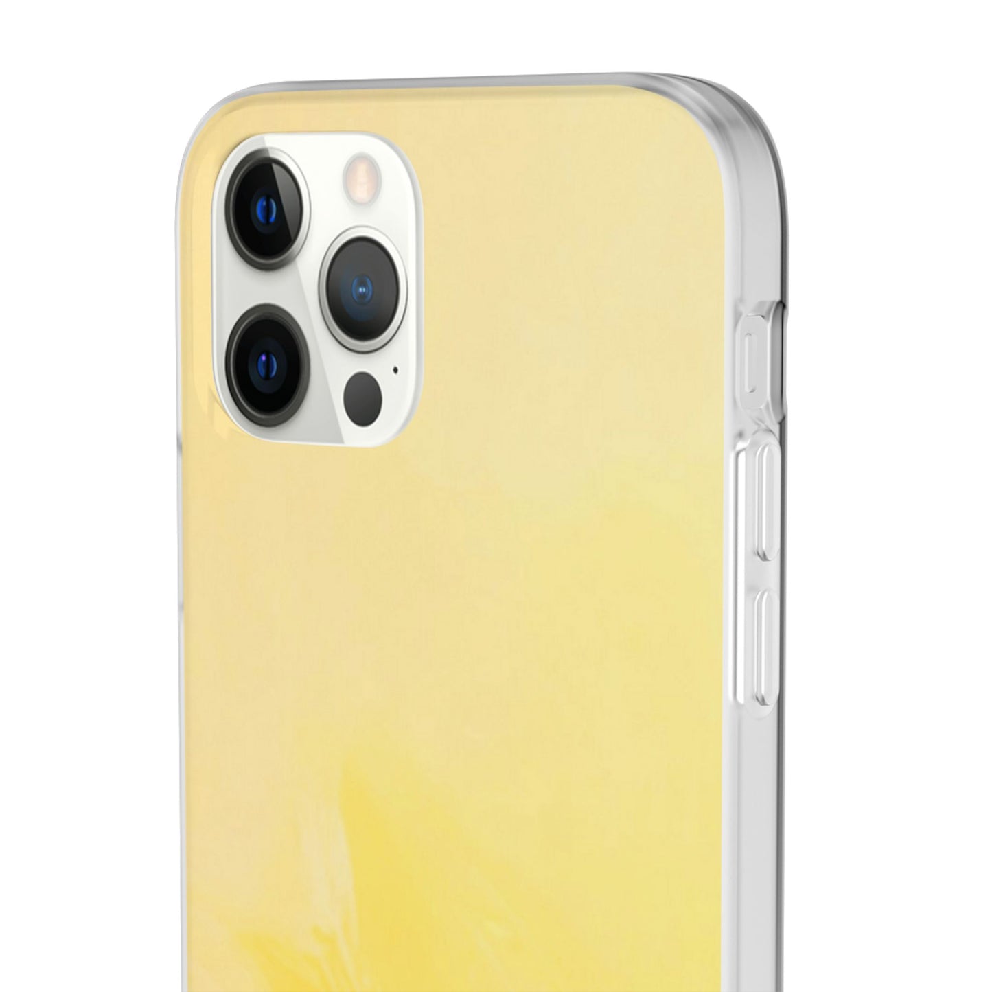 Flexi Case – Sunwash