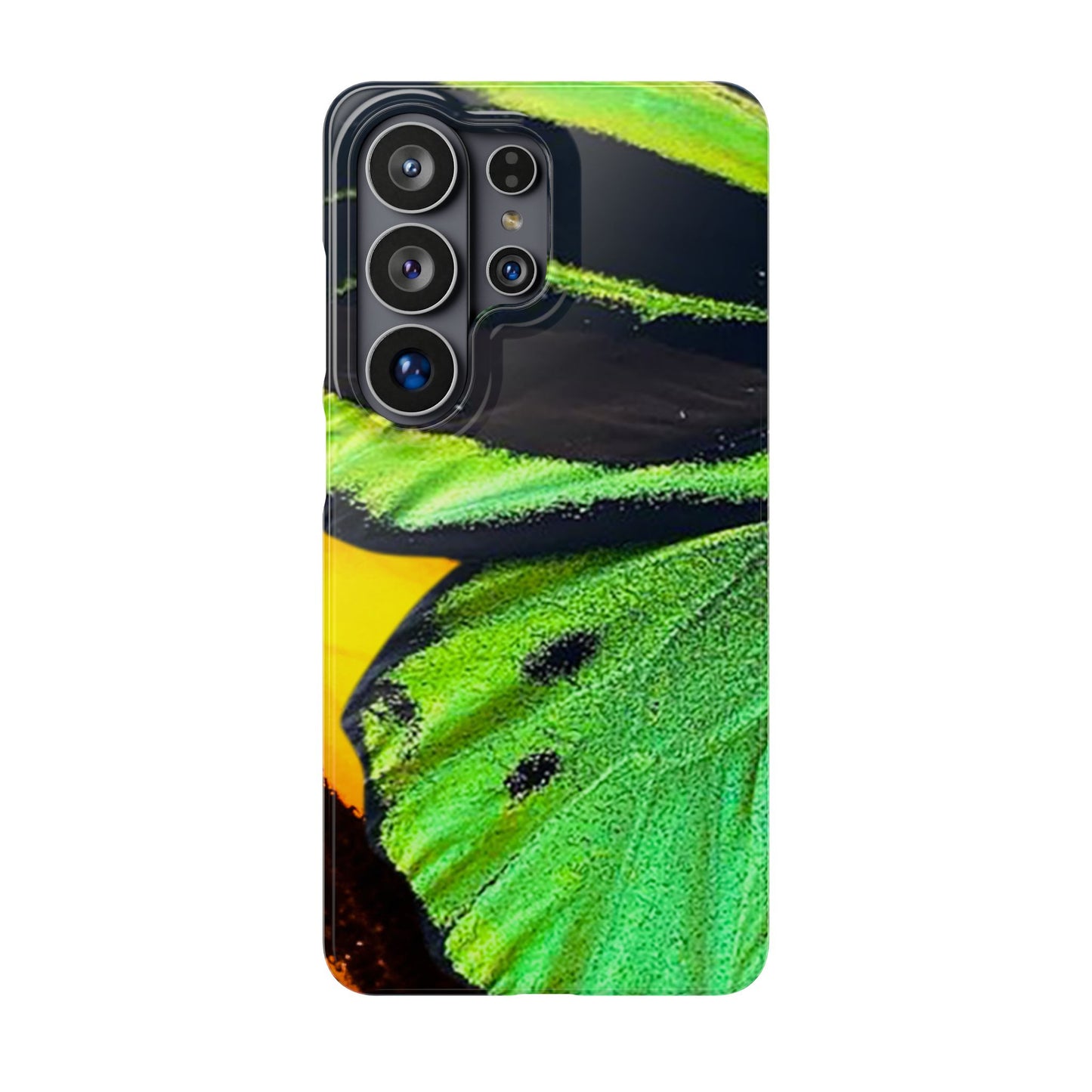 Snap Phone Case – Lashed Wing