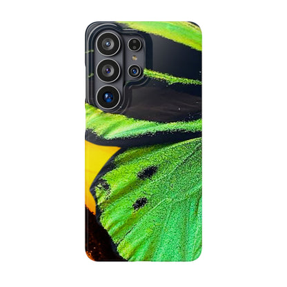 Snap Phone Case – Lashed Wing
