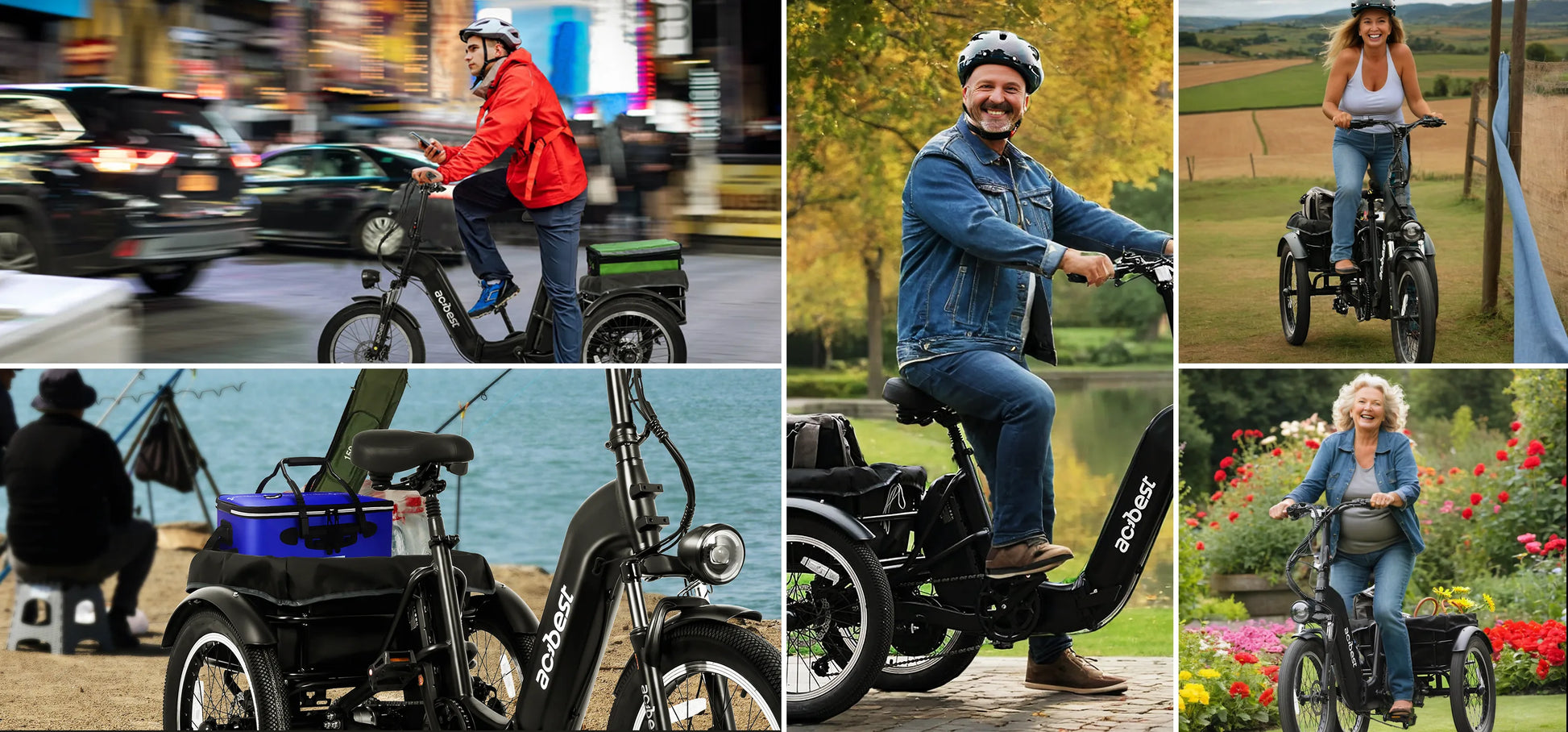 Triker Folding 3 Wheels Electric Bike