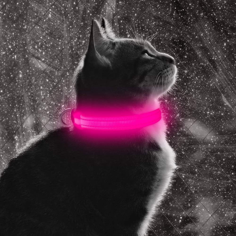 Light up Dog Collar, Rechargeable LED Dog Collar Glow in the Dark Cat Collar Reflective Puppy Collar Safety Dog Lights for Night Walking (Pink, XS)