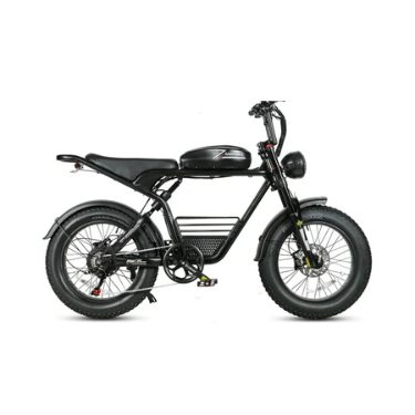 Powerful 1000W Fat Tire E-bike