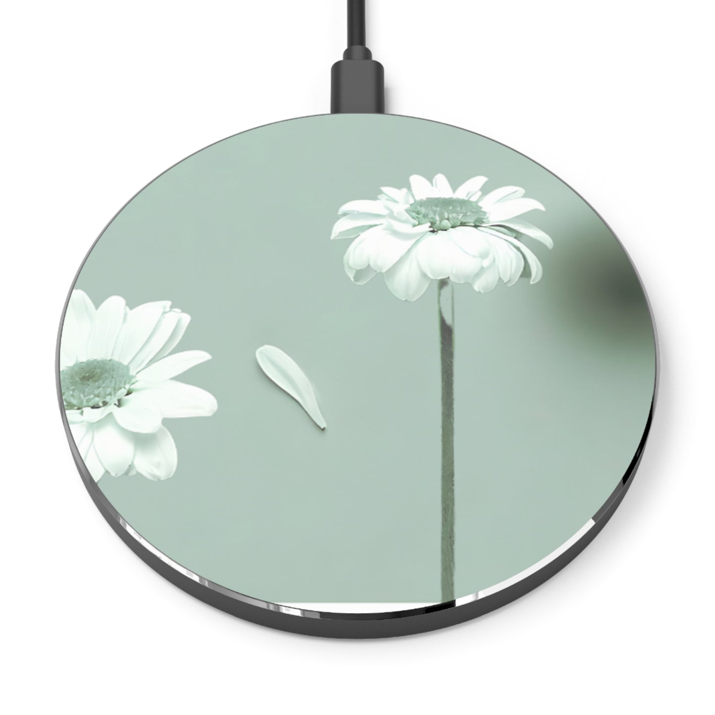 Wireless Charger – Daisy Serenity