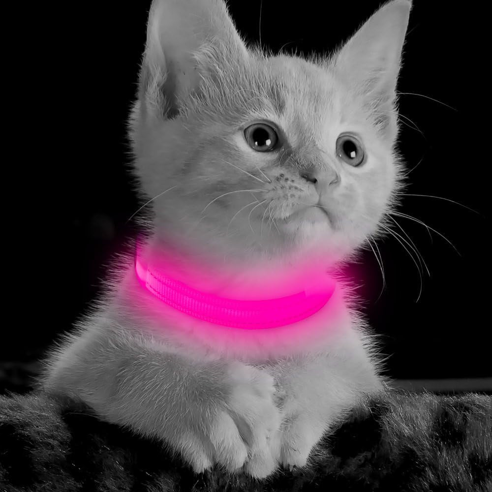 Light up Dog Collar, Rechargeable LED Dog Collar Glow in the Dark Cat Collar Reflective Puppy Collar Safety Dog Lights for Night Walking (Pink, XS)