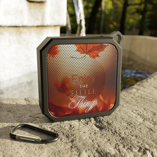 Water-Resistant Bluetooth Speaker – The Little Things