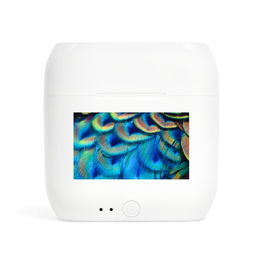 Wireless Earbuds – Peacock Power
