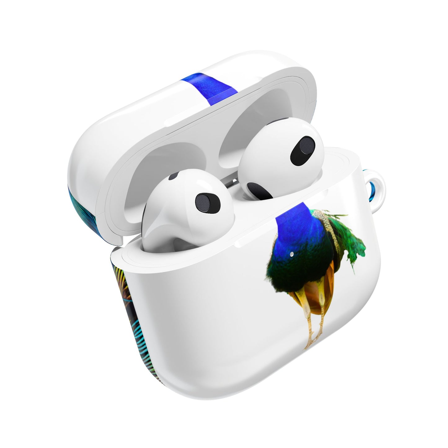 Earbud Case Cover – Peacock Power