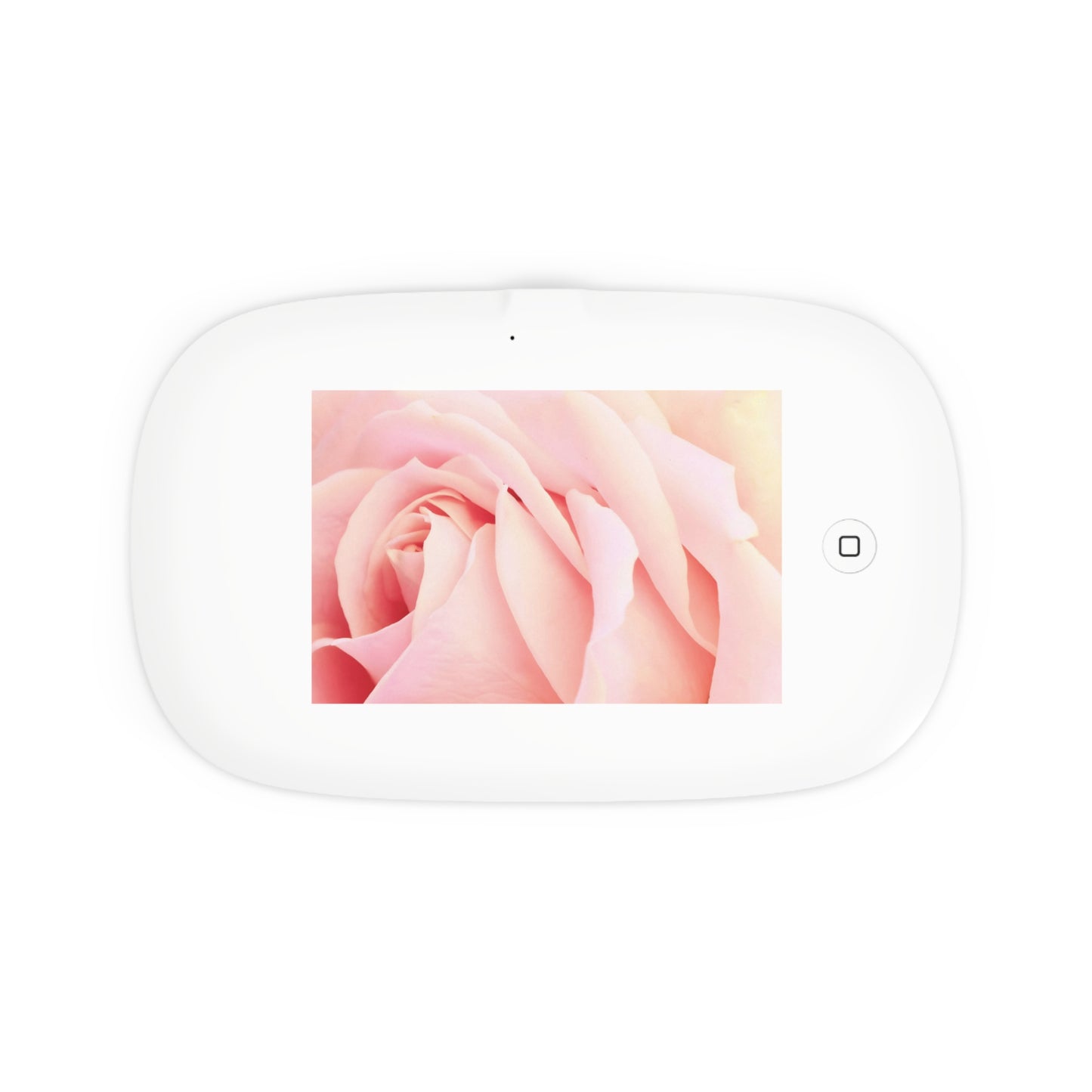 UV Phone Sanitizer with Wireless Charging – A Mother’s Rose Embrace