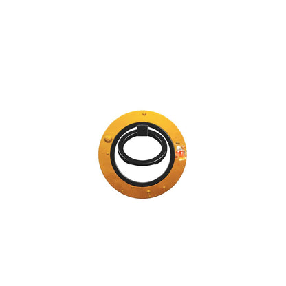 Ring Holder – Honey & Hive