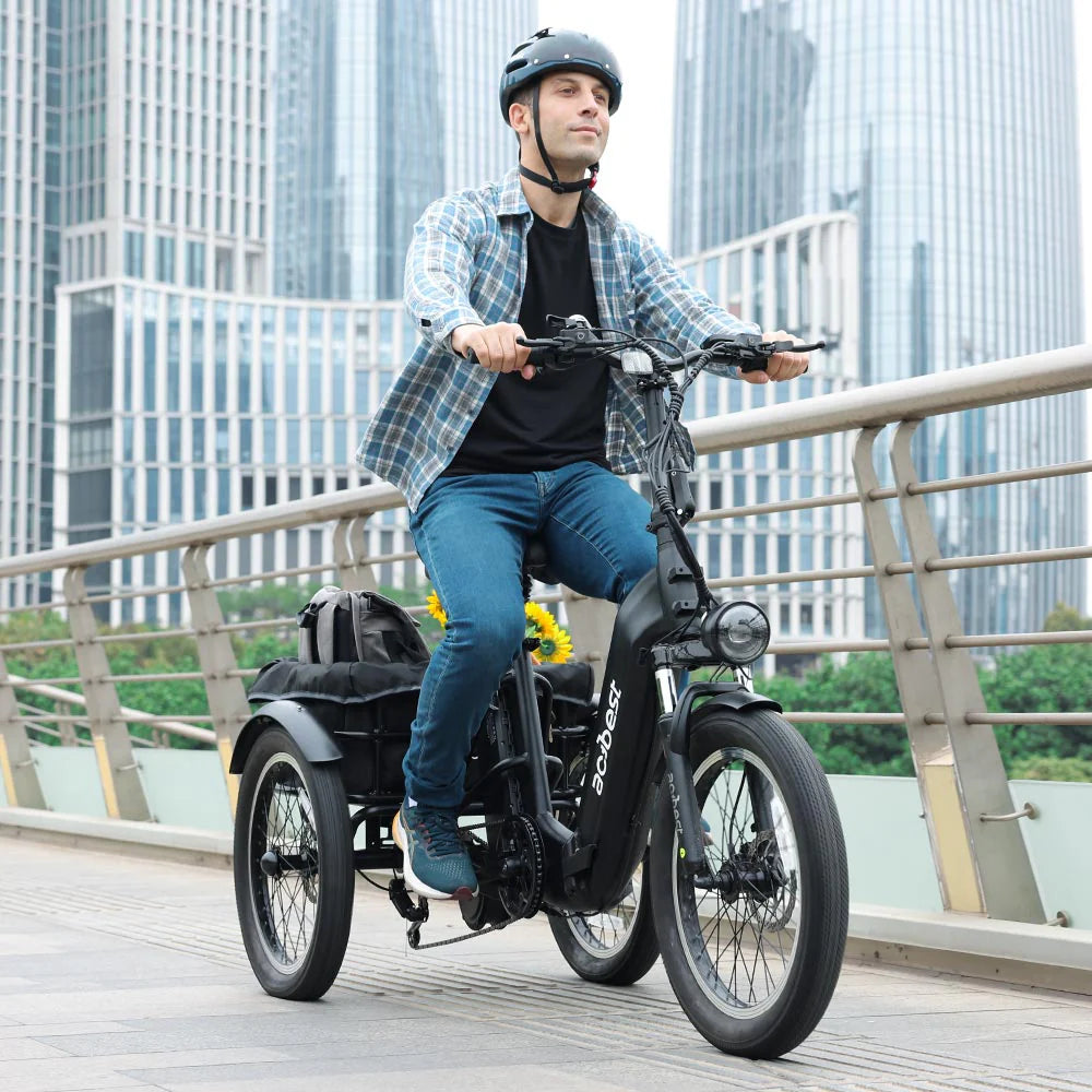 Triker Folding 3 Wheels Electric Bike