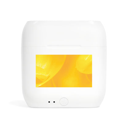 Wireless Earbuds – Sunlit Splash